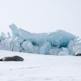 Seals and pressure ridges 