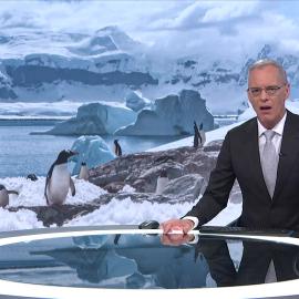 TVNZ_Ice_Algae_2_081020