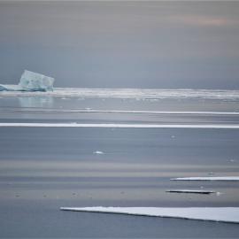 Ocean and Icebergs