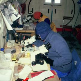 Working in the lab tent on a cold day