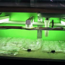 Under bench incubator for algae cultures in lab hut