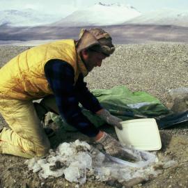 PAB putting samples in the freezer