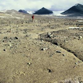 Patterned ground, furrows, Rob
