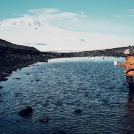 Warwick Vincent in pond Cape Bird, Mt Erebus behind