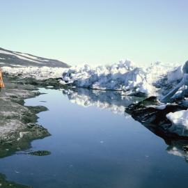 Ice-foot pool with Warwick Vincent