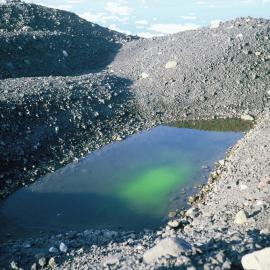 Phytoplankton algae in pond in moraines above Northern Rookery