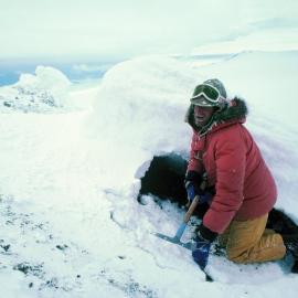 Searching for algae on warm ground inside an ice-covered fumarole