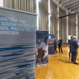 Antarctica After Dark_Wellington (2)