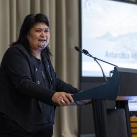 Antarctica After Dark_Wellington (9)