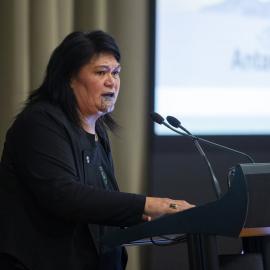 Antarctica After Dark_Wellington (16)