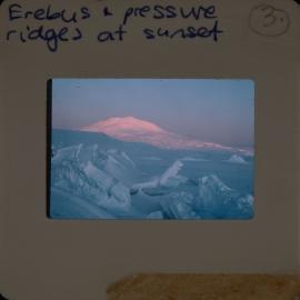 Shepherd-Slides_014