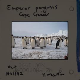 Shepherd-Slides_025