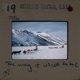 Shepherd-Slides_054