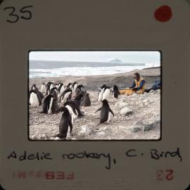 Shepherd-Slides_068
