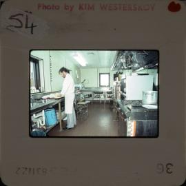 Shepherd-Slides_106