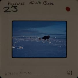 Shepherd-Slides_142