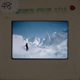 Shepherd-Slides_164