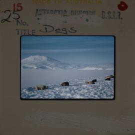Shepherd-Slides_168