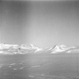 Massam-Negatives_120mm_004