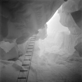 Massam-Negatives_120mm_009