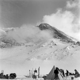 Massam-Negatives_120mm_011