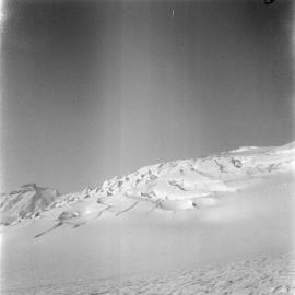 Massam-Negatives_120mm_014