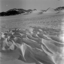 Massam-Negatives_120mm_016