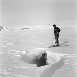Massam-Negatives_120mm_023