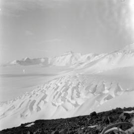 Massam-Negatives_120mm_027