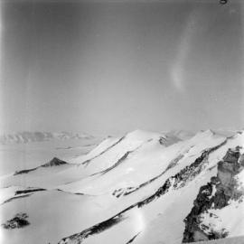 Massam-Negatives_120mm_032