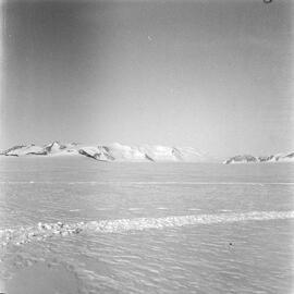 Massam-Negatives_120mm_037