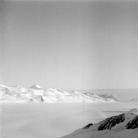 Massam-Negatives_120mm_043