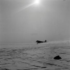 Massam-Negatives_120mm_052