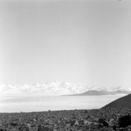 Massam-Negatives_120mm_053
