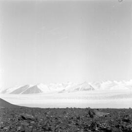 Massam-Negatives_120mm_054