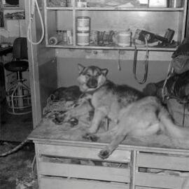 Massam-Negatives_120mm_064