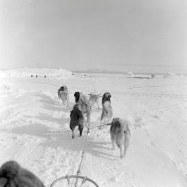 Massam-Negatives_120mm_067