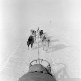Massam-Negatives_120mm_070