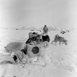 Massam-Negatives_120mm_071
