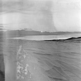 Massam-Negatives_120mm_072