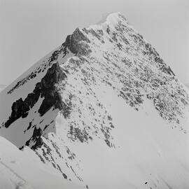 Massam-Negatives_120mm_087