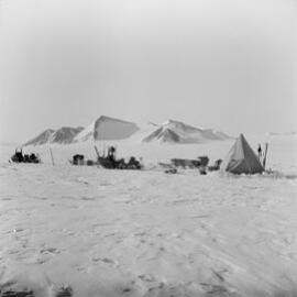 Massam-Negatives_120mm_093