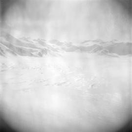 Massam-Negatives_120mm_095