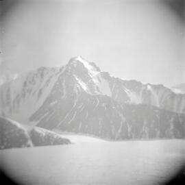 Massam-Negatives_120mm_099