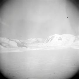 Massam-Negatives_120mm_100