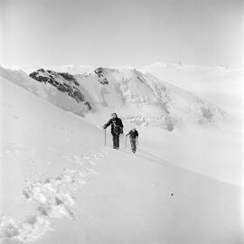 Massam-Negatives_120mm_104