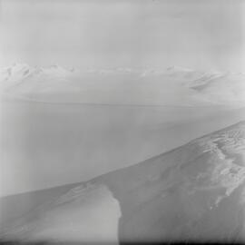 Massam-Negatives_120mm_108