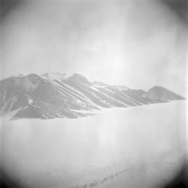 Massam-Negatives_120mm_111