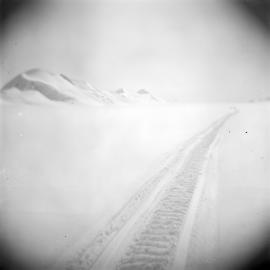 Massam-Negatives_120mm_114