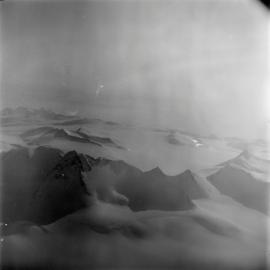 Massam-Negatives_120mm_121